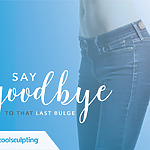 Coolsculpting. Large area – 1 session